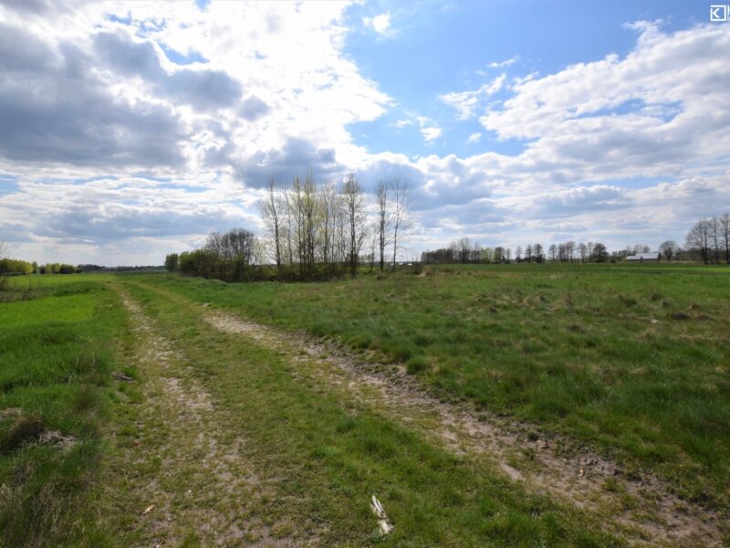 Jezioro - działka na sprzedaż