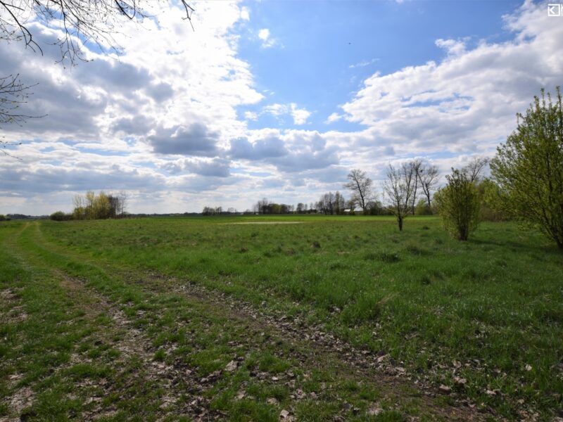Jezioro - działka na sprzedaż