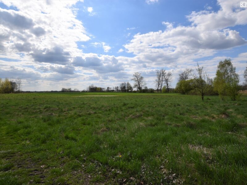 Jezioro - działka na sprzedaż