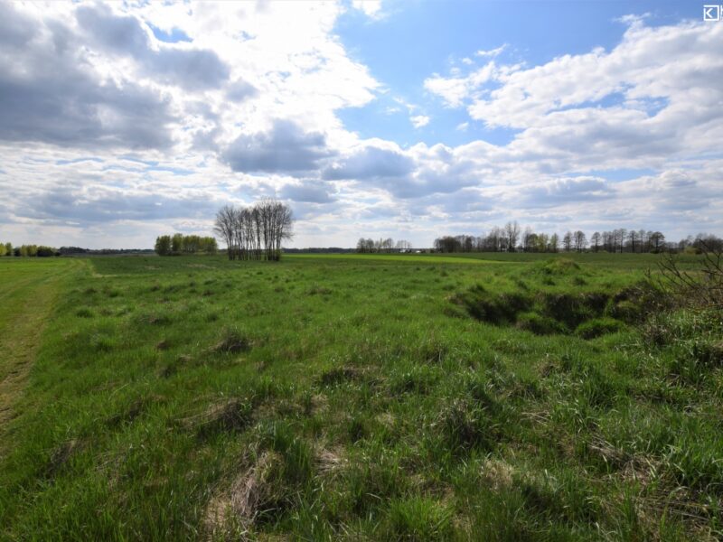 Jezioro - działka na sprzedaż