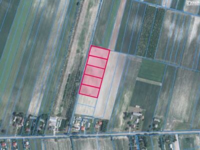 Borowina Starozamojska - działka na sprzedaż
