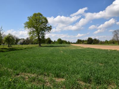 Kazimierz Dolny - działka na sprzedaż