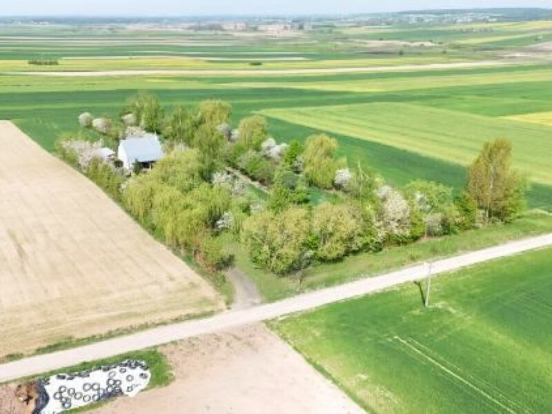 Sitaniec Kolonia - dom na sprzedaż