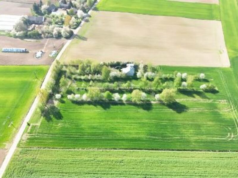 Sitaniec Kolonia - dom na sprzedaż