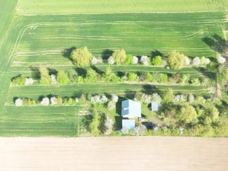 Sitaniec Kolonia - dom na sprzedaż