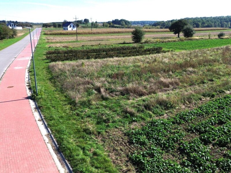 Nałęczów - działka na sprzedaż