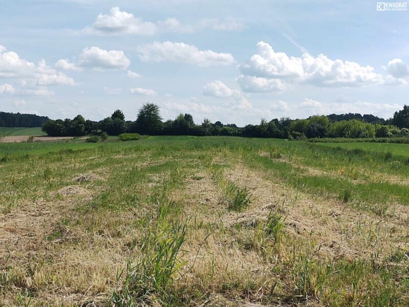 Nałęczów - działka na sprzedaż
