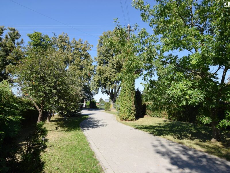 Sadurki - lokal na wynajem