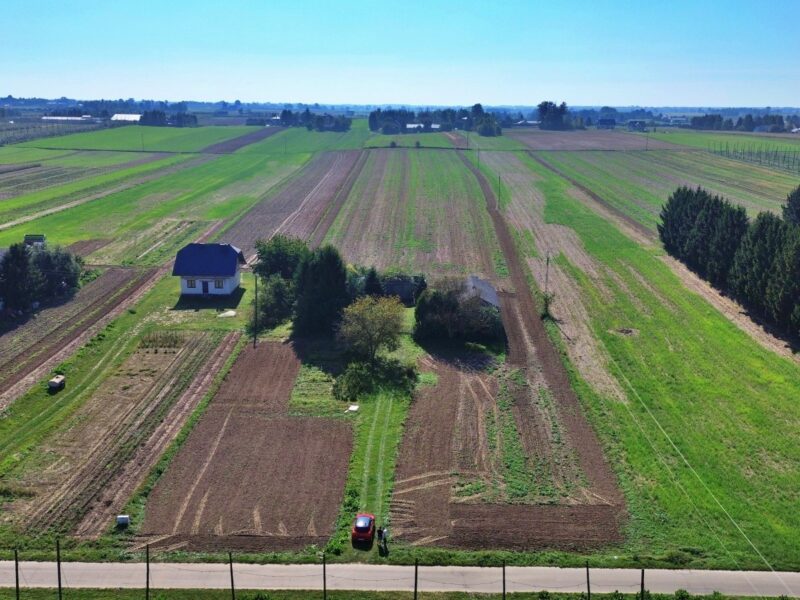 Panieńszczyzna - działka na sprzedaż