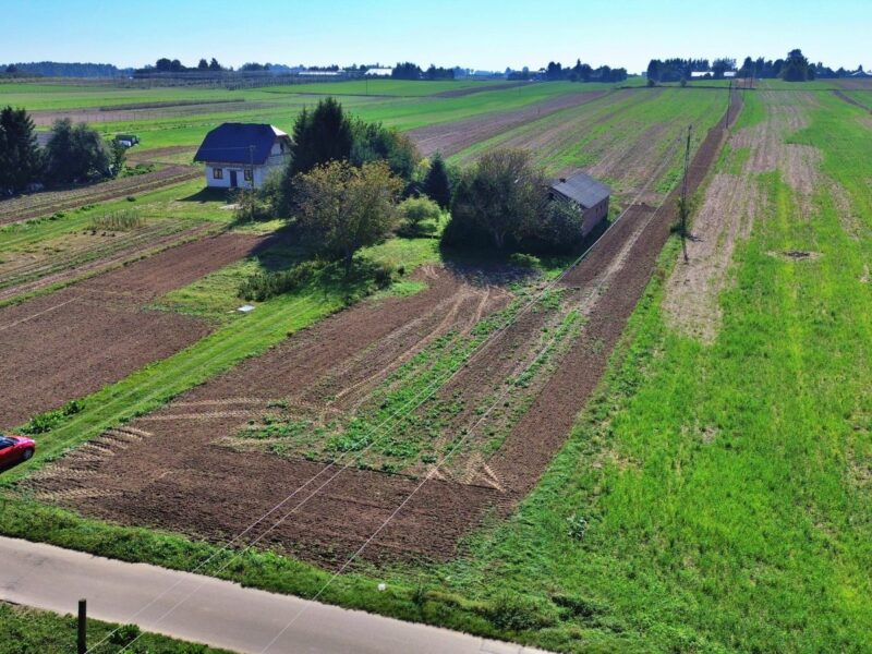 Panieńszczyzna - działka na sprzedaż