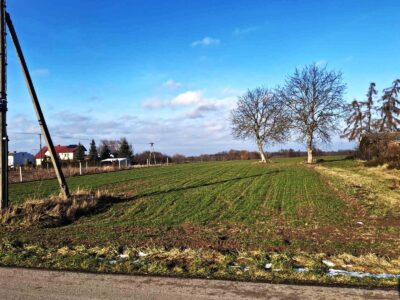 Piotrawin - działka na sprzedaż