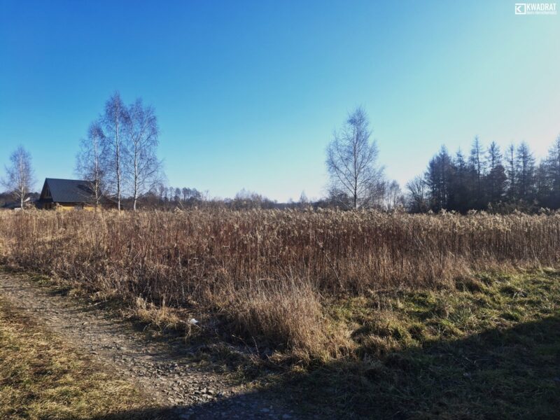 Drozdówka - działka na sprzedaż