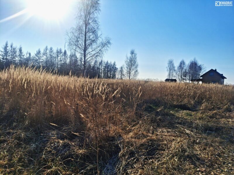 Drozdówka - działka na sprzedaż