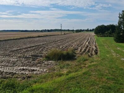 Jabłonna Druga - działka na sprzedaż