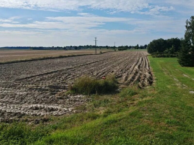 Jabłonna Druga - działka na sprzedaż