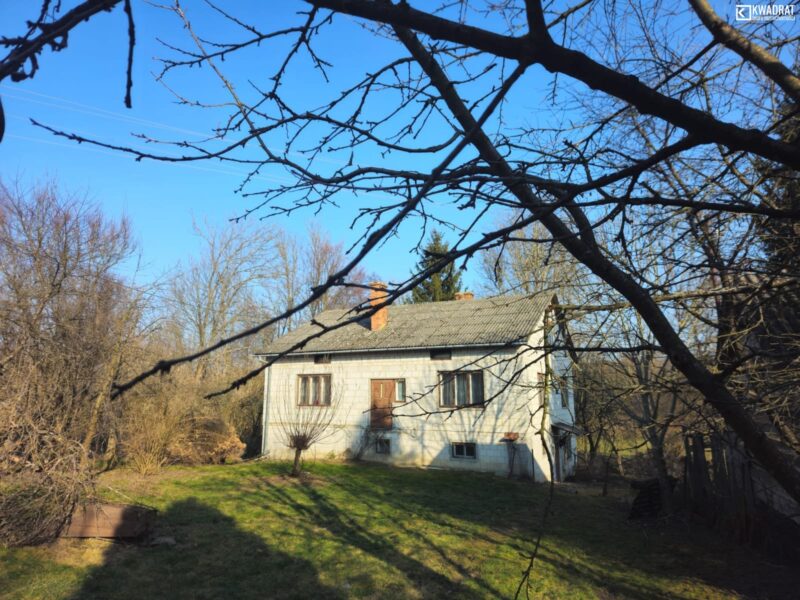 Radzięcin - lokal na sprzedaż