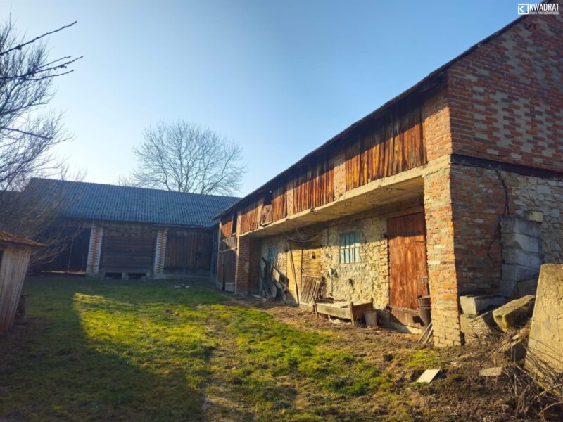 Radzięcin - lokal na sprzedaż