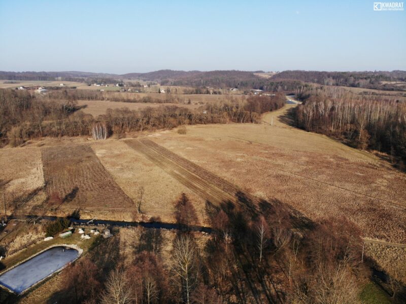 Radzięcin - lokal na sprzedaż
