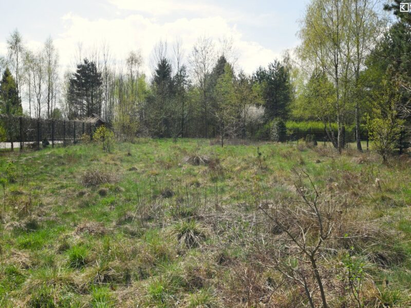 Nowy Staw - działka na sprzedaż