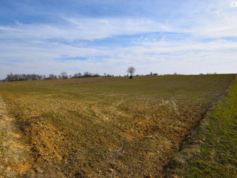 Panieńszczyzna - działka na sprzedaż