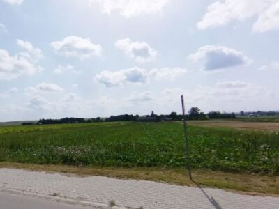 Czołki - działka na sprzedaż