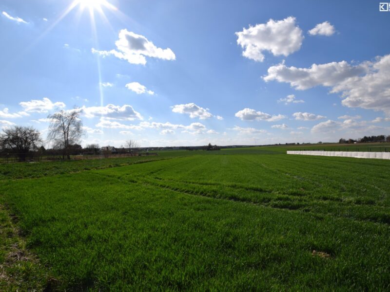 Wierzchowiska Drugie - działka na sprzedaż