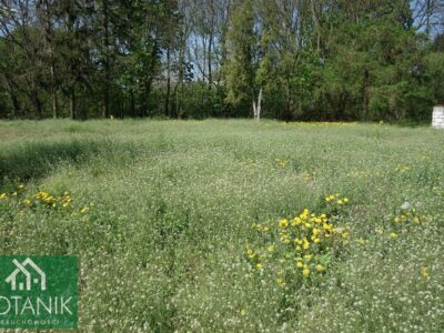 Ludwików - działka na sprzedaż