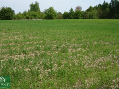 Snopków - działka na sprzedaż