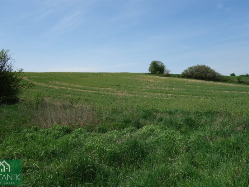 Snopków - działka na sprzedaż