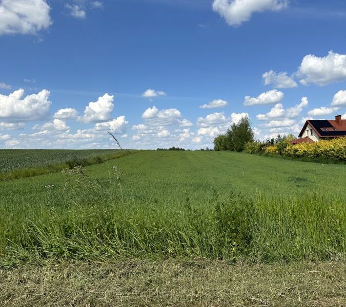 Jastków-Moszna - działka bud-rolna przy asfalcie
