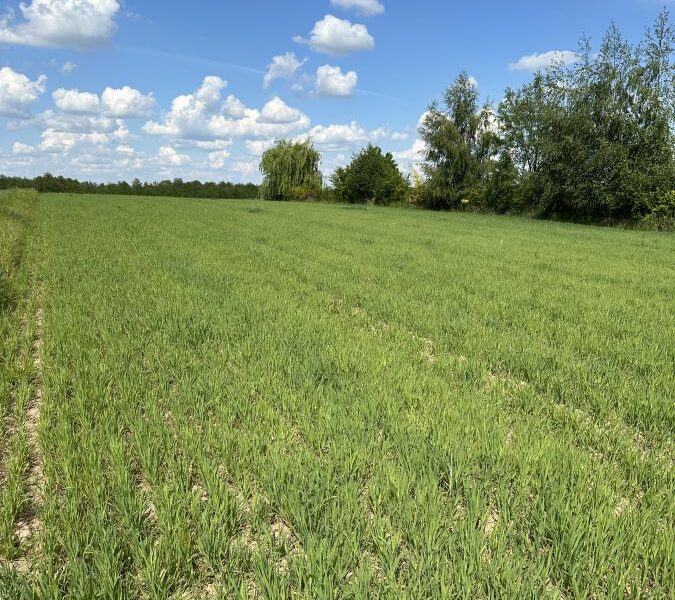 Jastków-Moszna - działka bud-rolna przy asfalcie