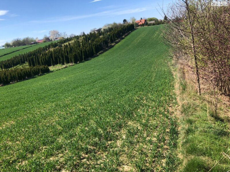 Konopnica - działka na sprzedaż