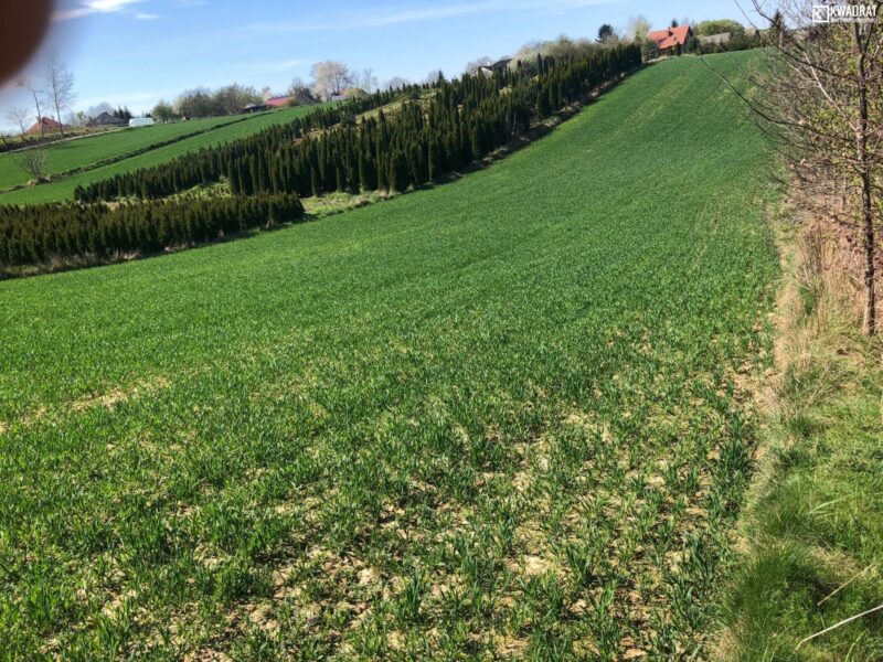 Konopnica - działka na sprzedaż