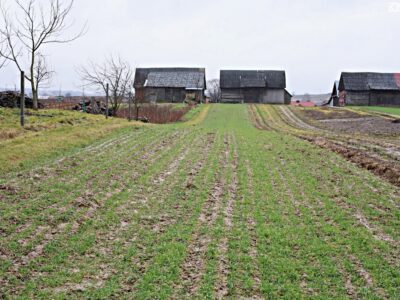 Zdziłowice Czwarte - działka na sprzedaż