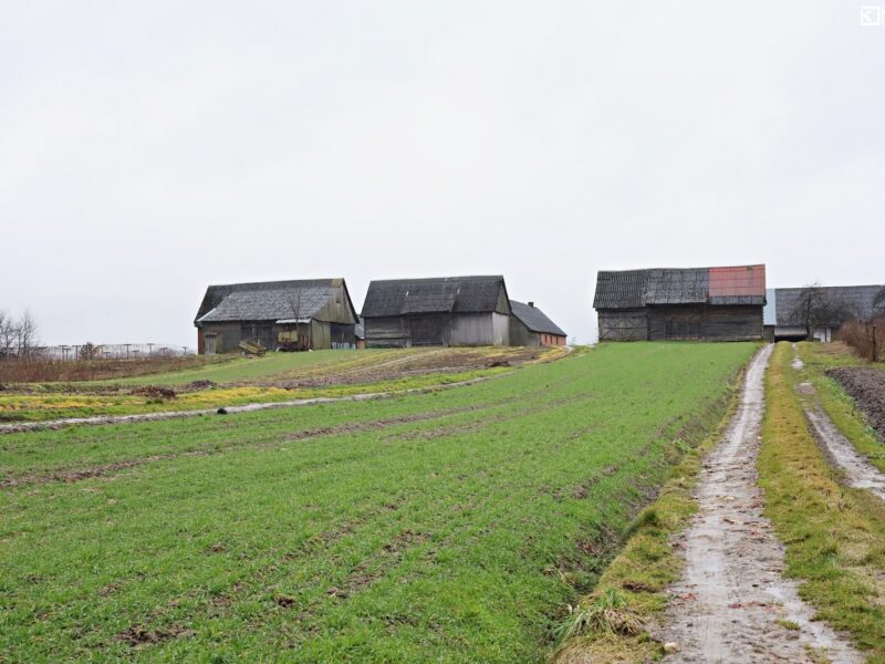 Zdziłowice Czwarte - działka na sprzedaż