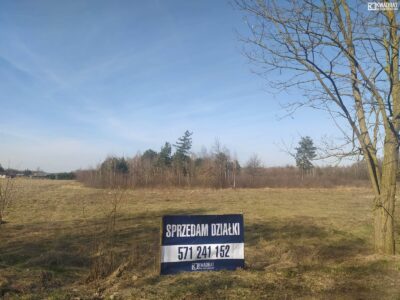 Orzechów Kolonia - działka na sprzedaż