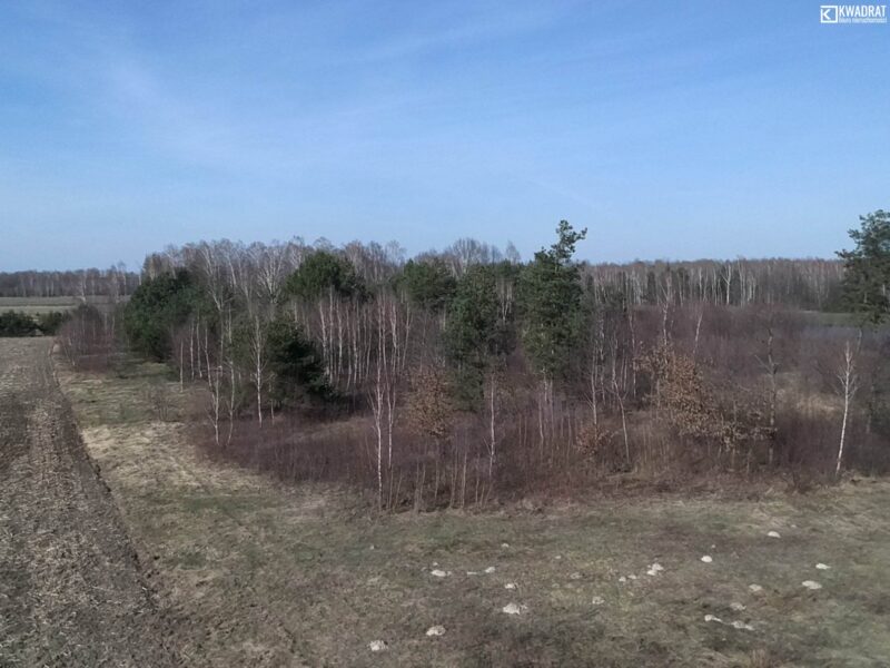 Orzechów Kolonia - działka na sprzedaż