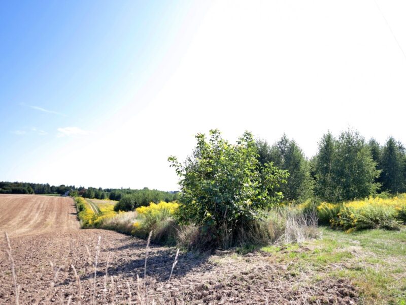 Strzeszkowice Duże - działka na sprzedaż