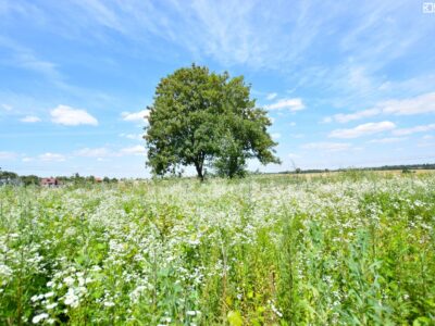 Pólko - działka na sprzedaż