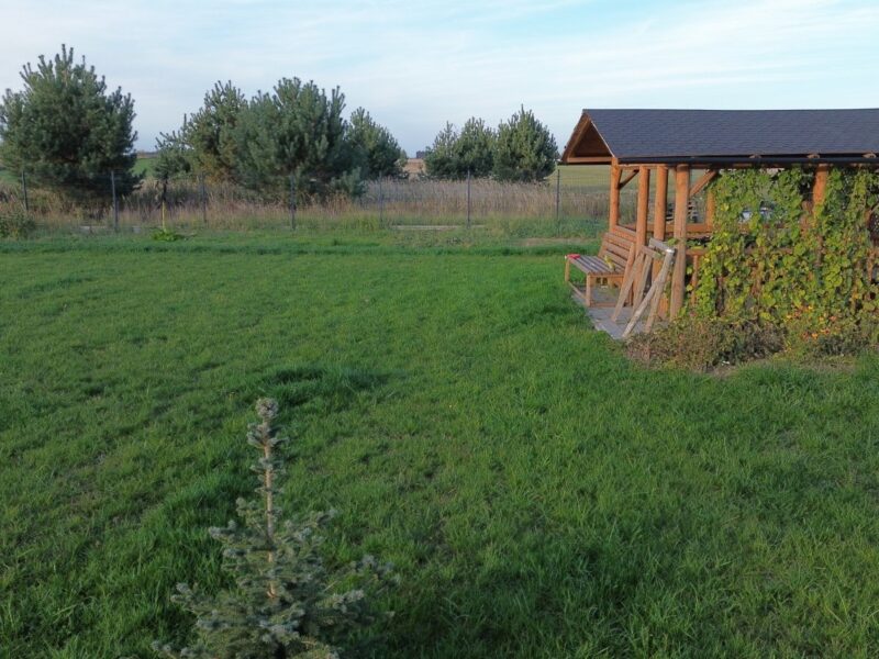 Żabia Wola - działka na sprzedaż