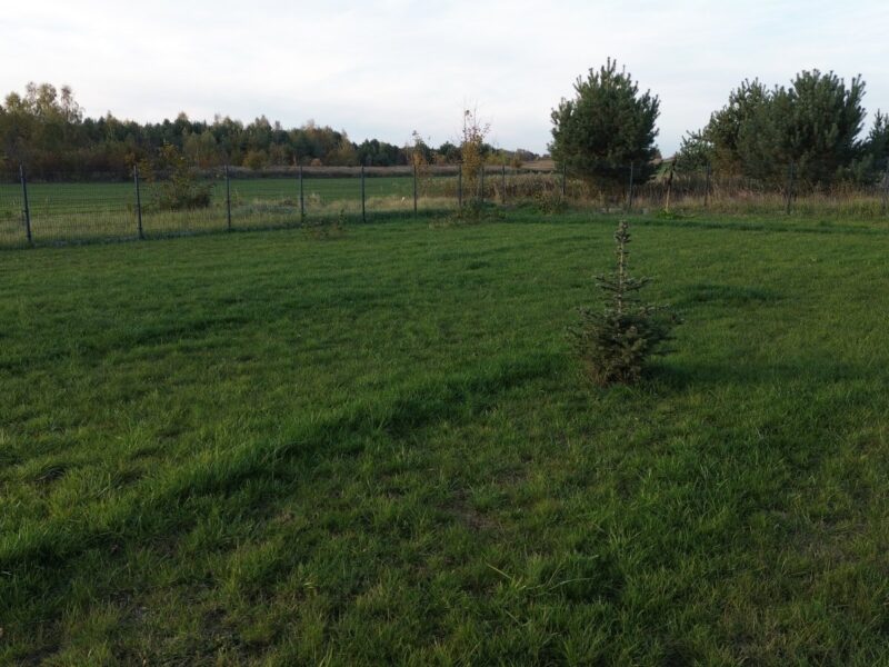 Żabia Wola - działka na sprzedaż