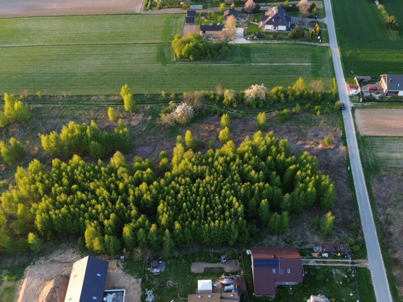 Jakubowice Konińskie-Kolonia - działka na sprzedaż