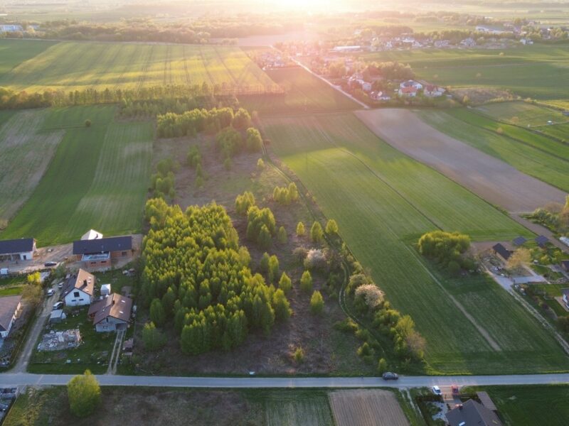 Jakubowice Konińskie-Kolonia - działka na sprzedaż