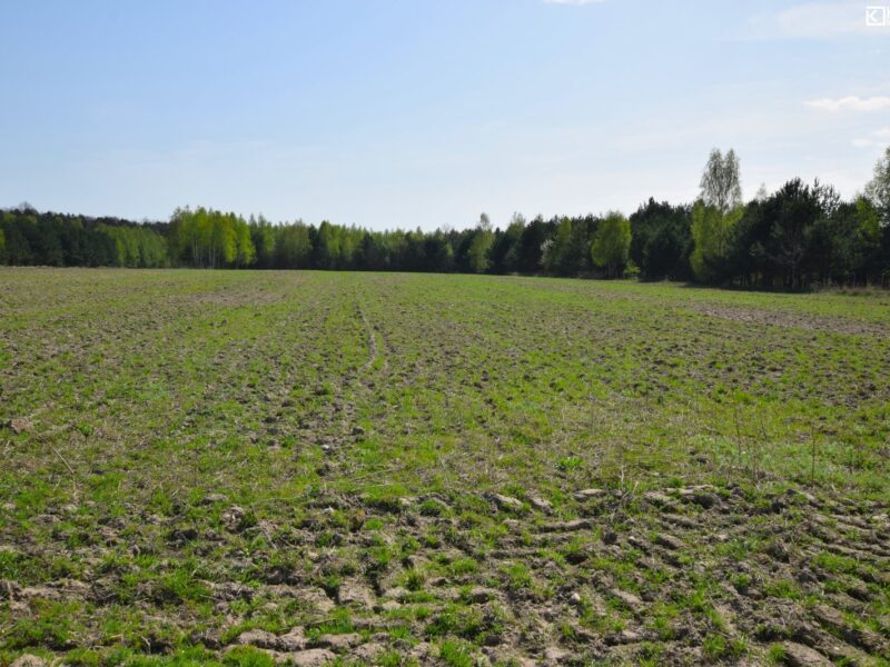 Pryszczowa Góra - działka na sprzedaż