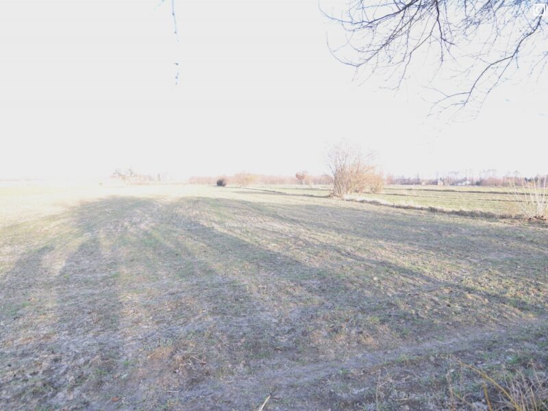 Maryniów - działka na sprzedaż