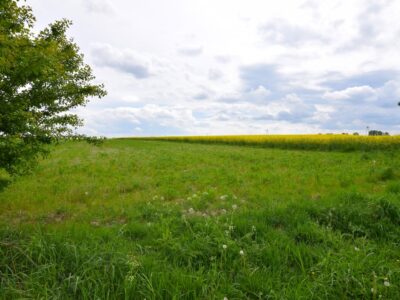 Nasutów - działka na sprzedaż
