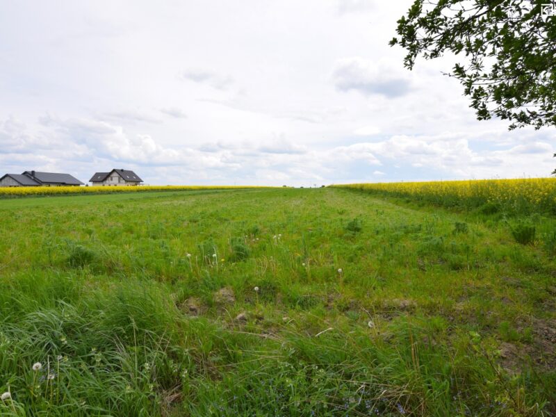 Nasutów - działka na sprzedaż