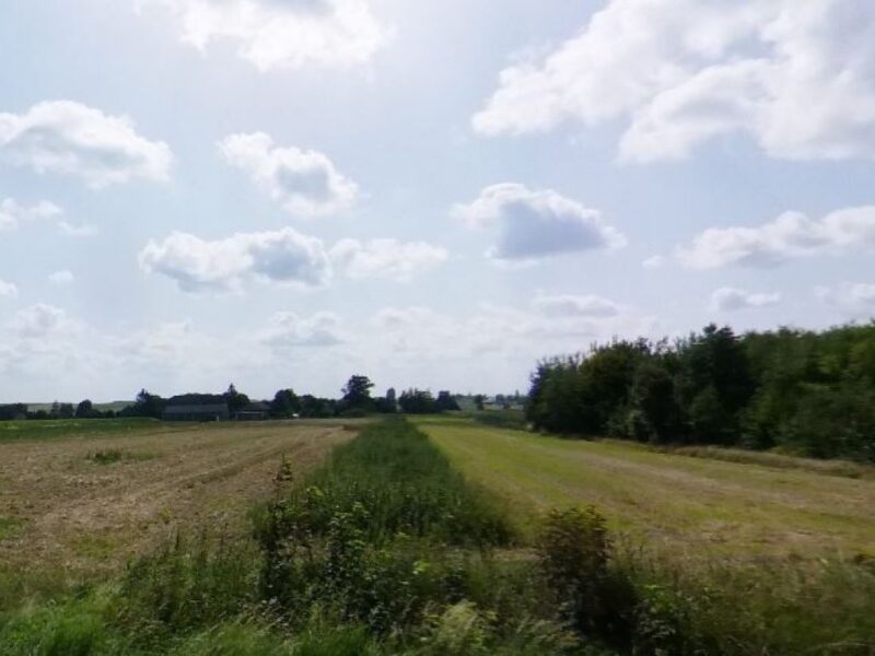 Czołki - działka na sprzedaż