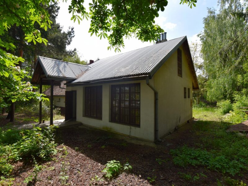 Drzewce-Kolonia - dom na sprzedaż