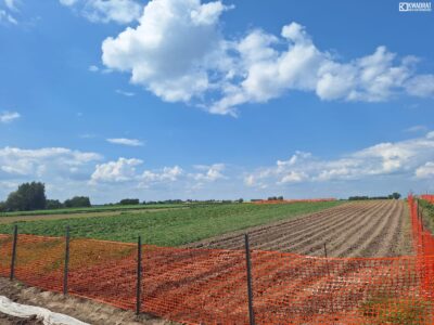 PŁOUSZOWICE - działka na sprzedaż